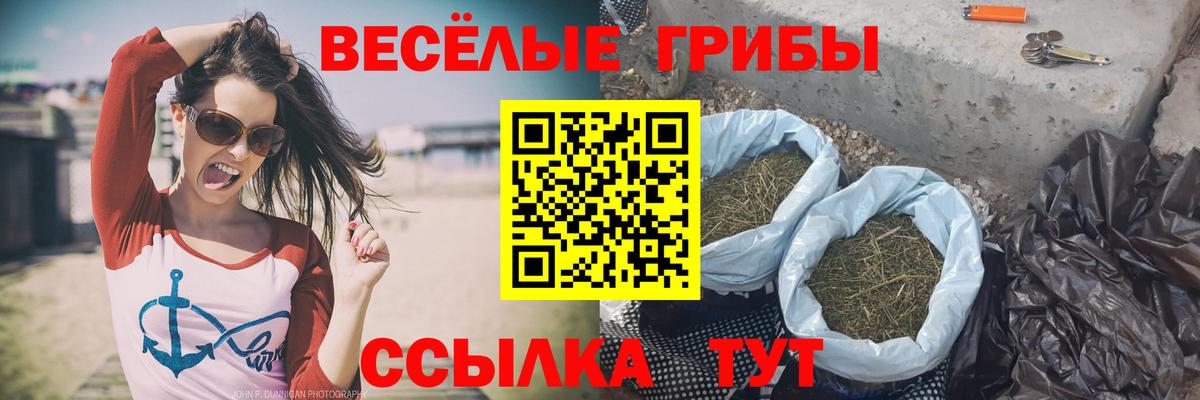 Галлюциногенные грибы прущие грибы  Вход с VPN  Псилоцибиновые грибы Cubensis  Малгобек 