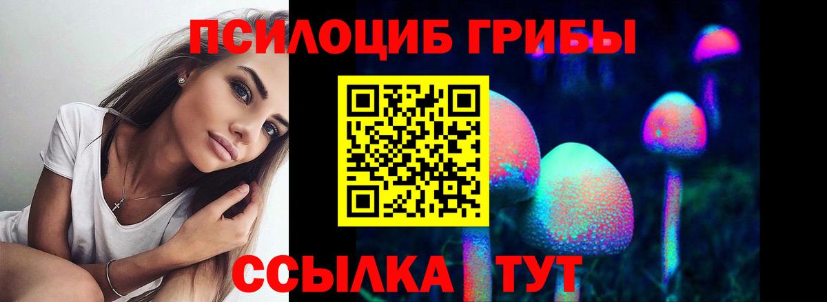 Псилоцибиновые грибы Psilocybe Малгобек